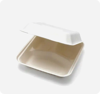 Environmentally friendly  takeaway boxes